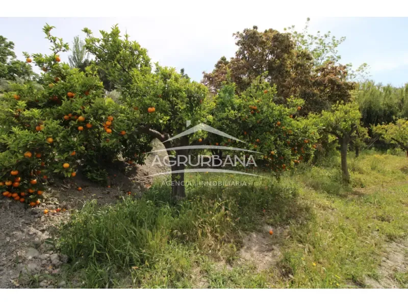 Aed - Rustic Farmhouse with Fruit Trees in Órgiva