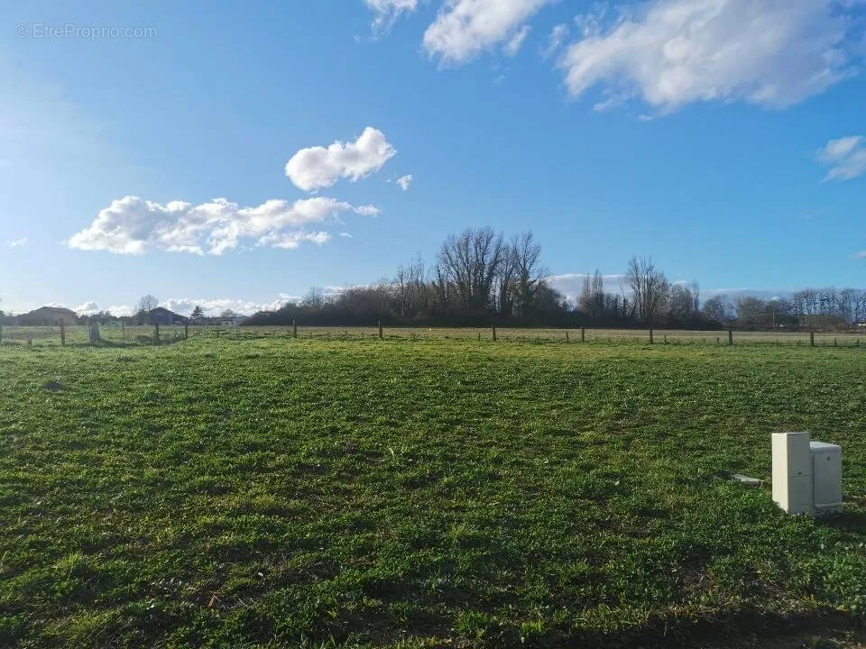 Jardin - Terrain à Construire avec Vue Jardin à Mios
