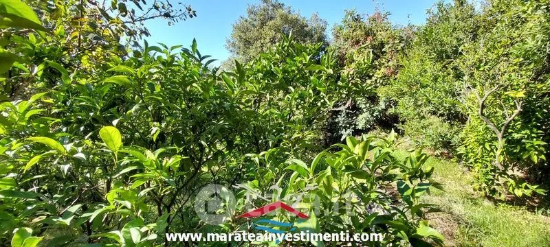 Jardin - Villa with Sea View in Maratea