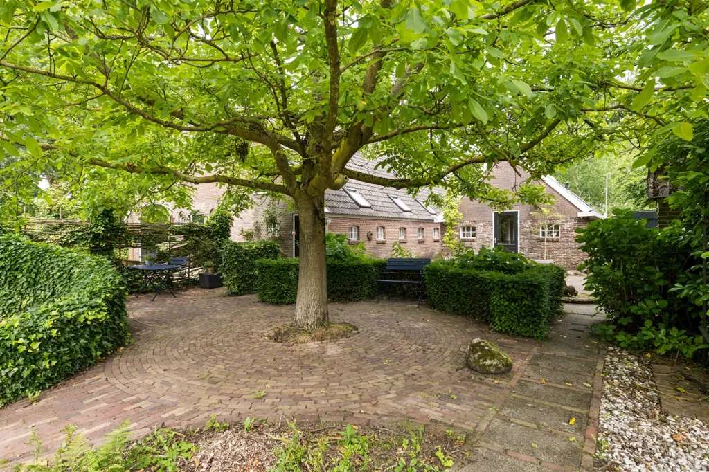 Jardin - Characterful Farmhouse with Development Potential in Balloo