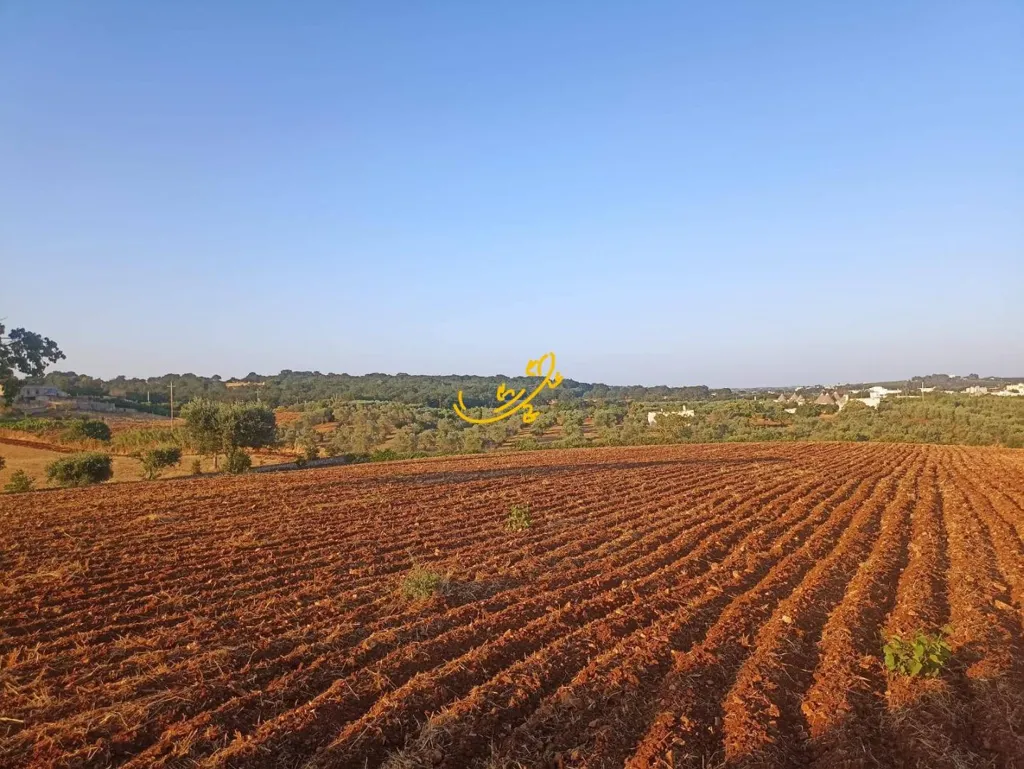 Jardin - Trullo for Renovation in Martina Franca