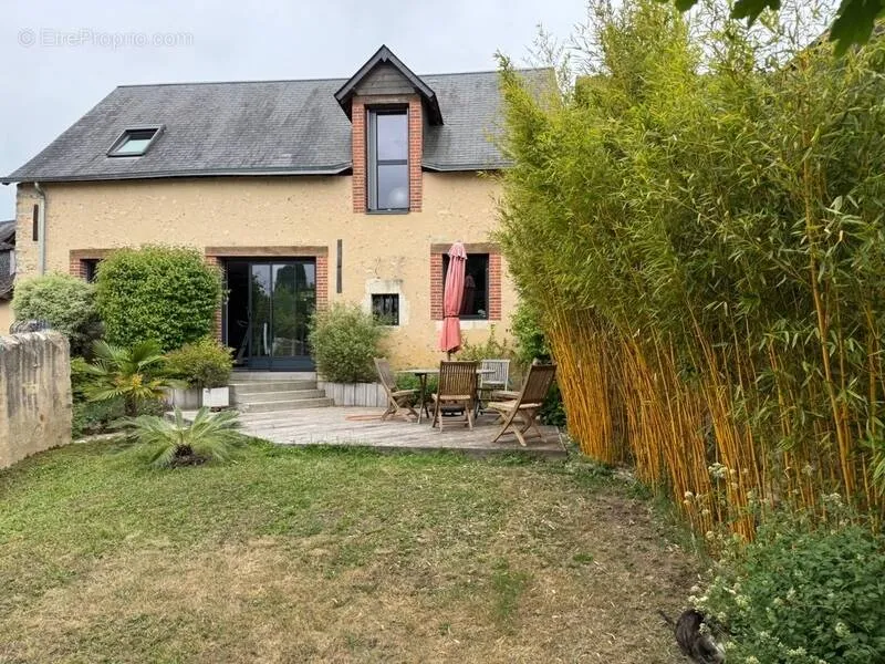 Jardin - Immeuble de Rapport en Centre-Ville à Parigné-l'Évêque