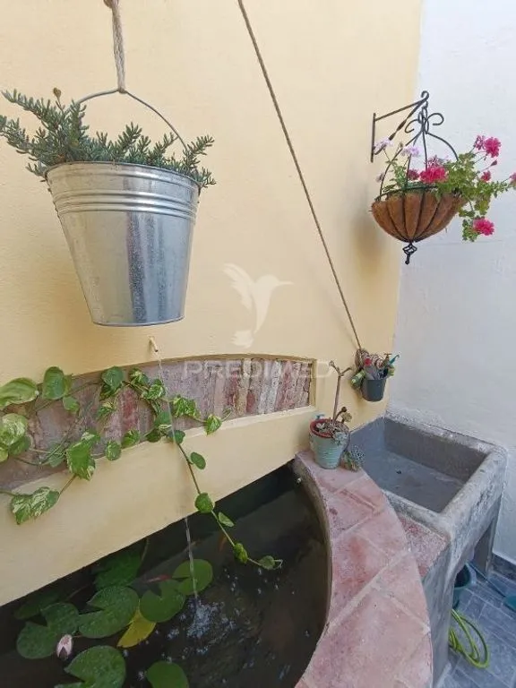 Jardin - Villa with Studios and Backyard in Olhão