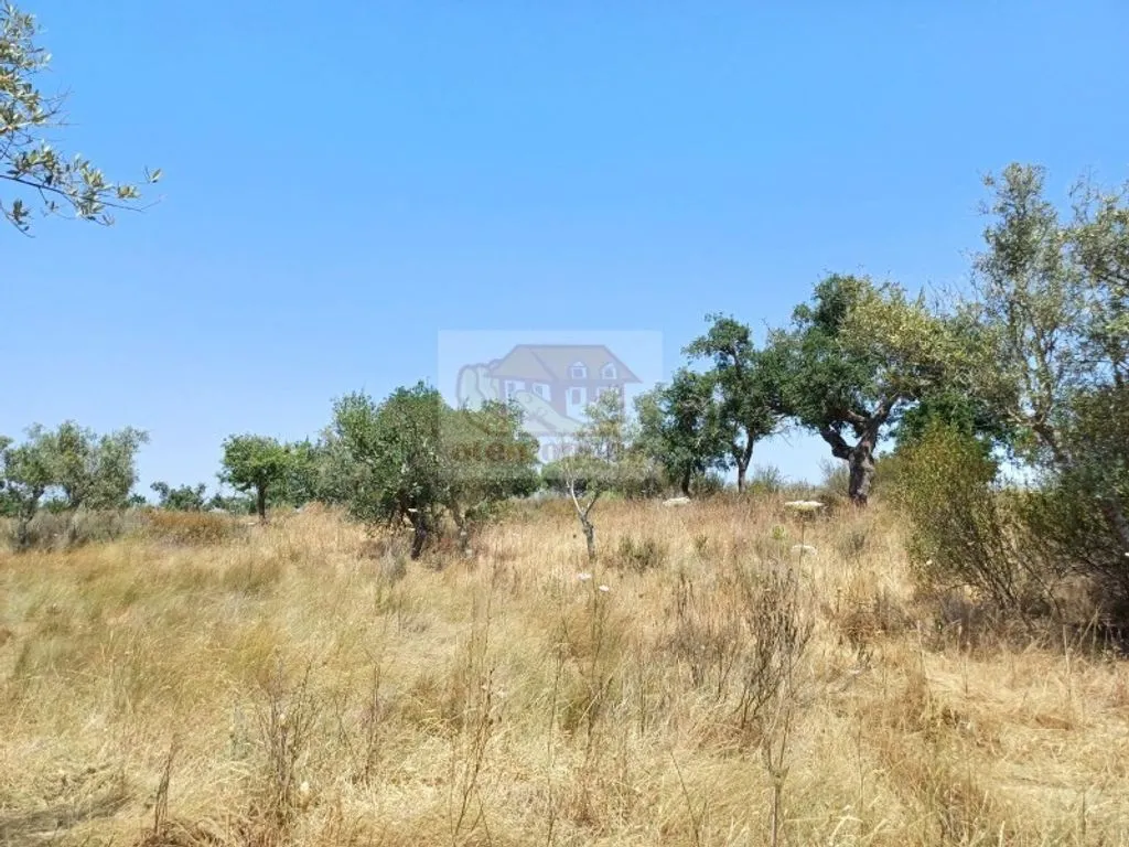 Garden - Development Land with Mountain Views in Grândola