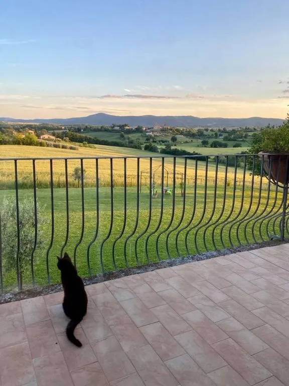 Terrass - Historic Umbrian Farmhouse with Panoramic Views in Montecastrilli