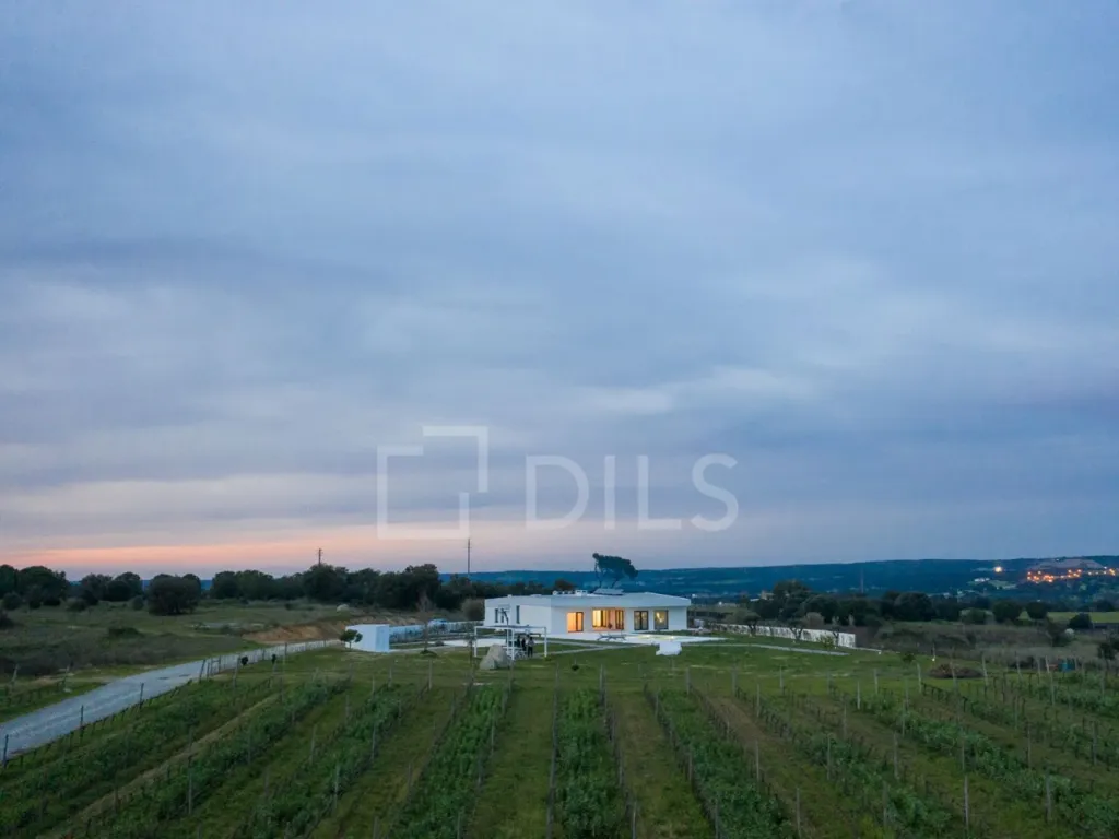 Aed - Villa with Pool and Vineyard in Alentejo