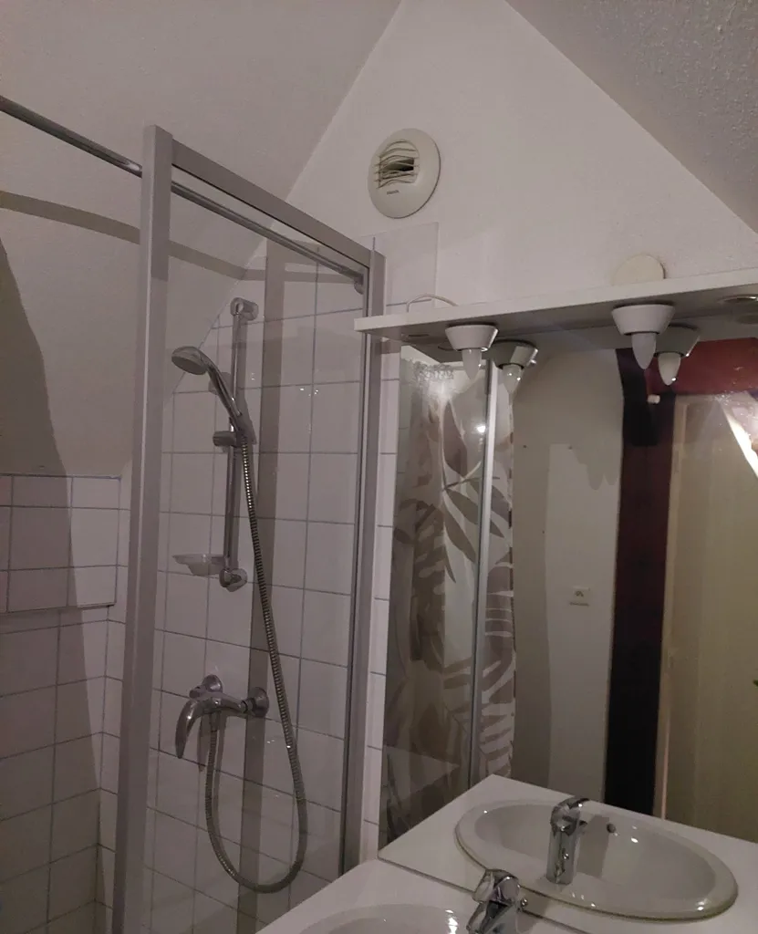 Bagni - Duplex Flat with Tenant in Montbéliard Centre