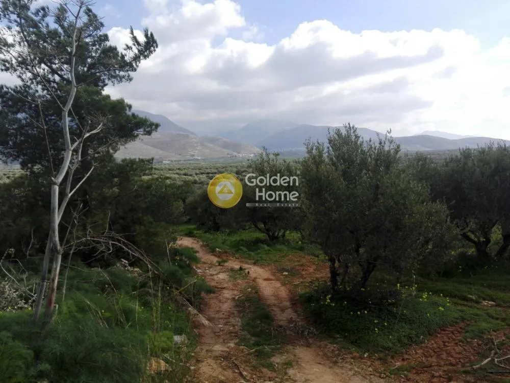 Garden - Land in GR