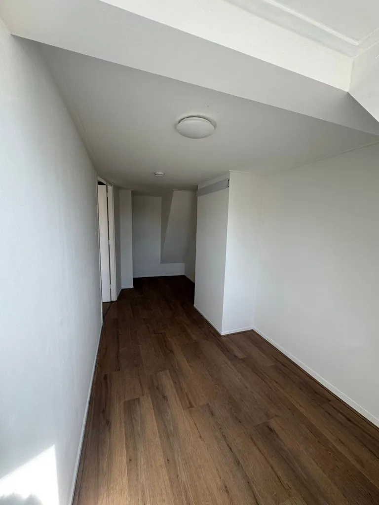Toad - Room with Shared Living in Meppel Centre