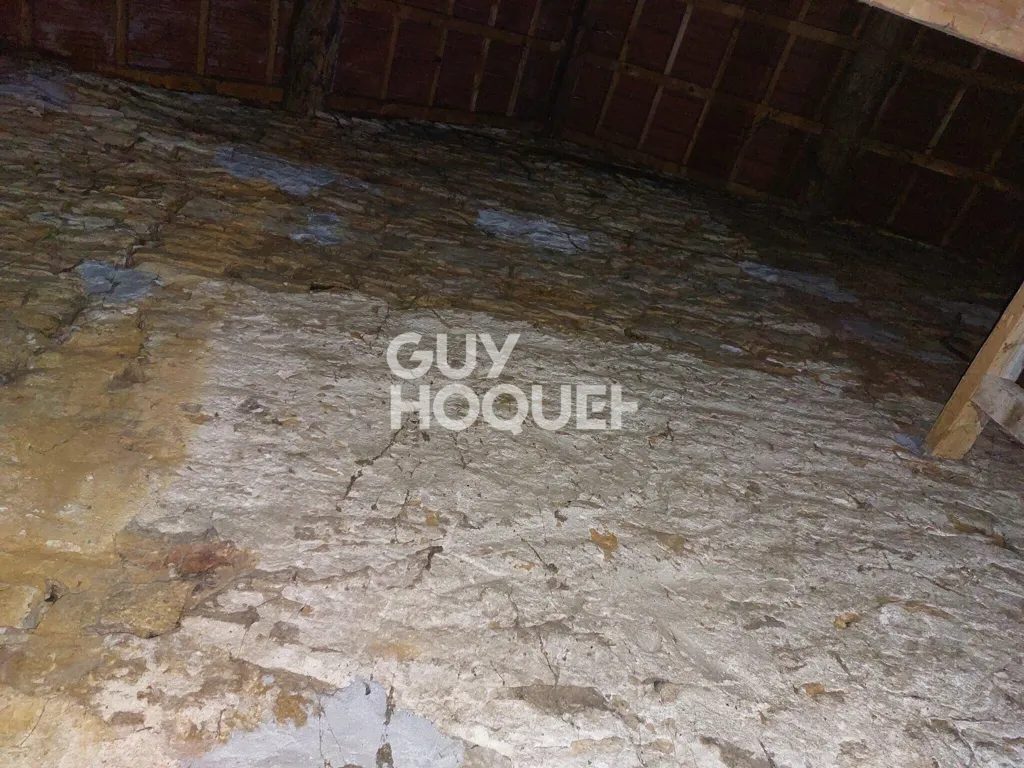 Toad - Two-Unit Property with Renovation Potential in Hérisson-sur-Amby