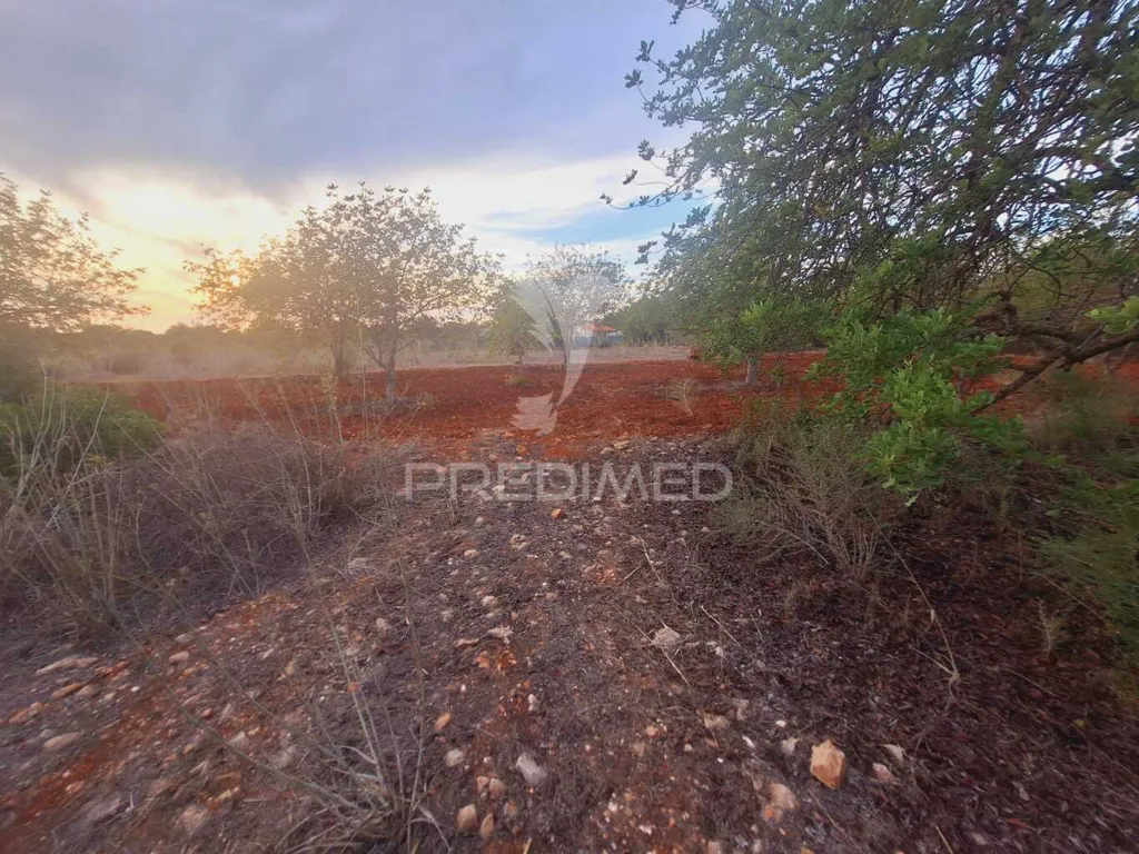 Aed - Rustic Plot near National Road in Vale Judeu