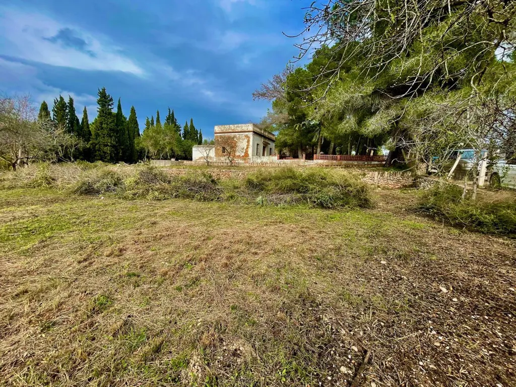Jardin - Modernist House with Pine Woods in Tortosa