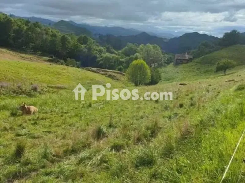 Garden - Rustic Property with Potential for Development in Onís