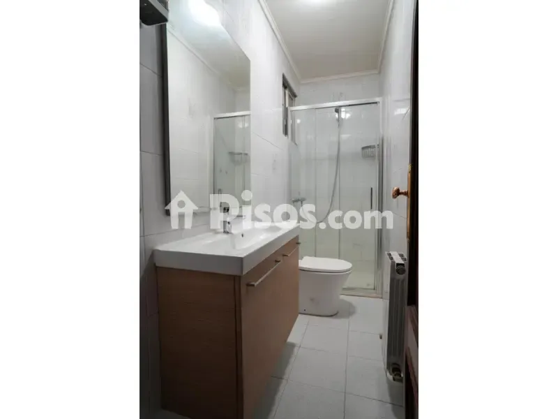 Bagni - Apartment with Terrace in Algorta