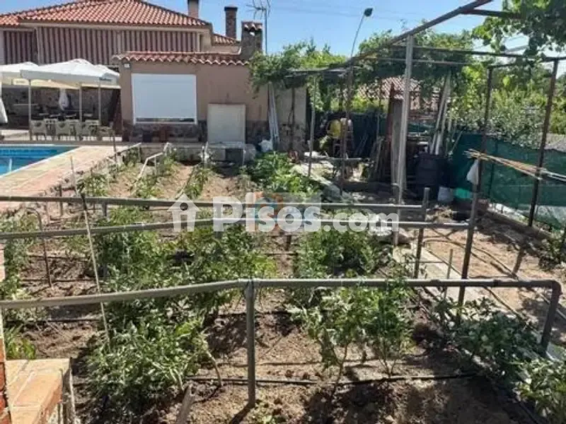 Piscine - Chalet with Pool and Terraces in Palomeque