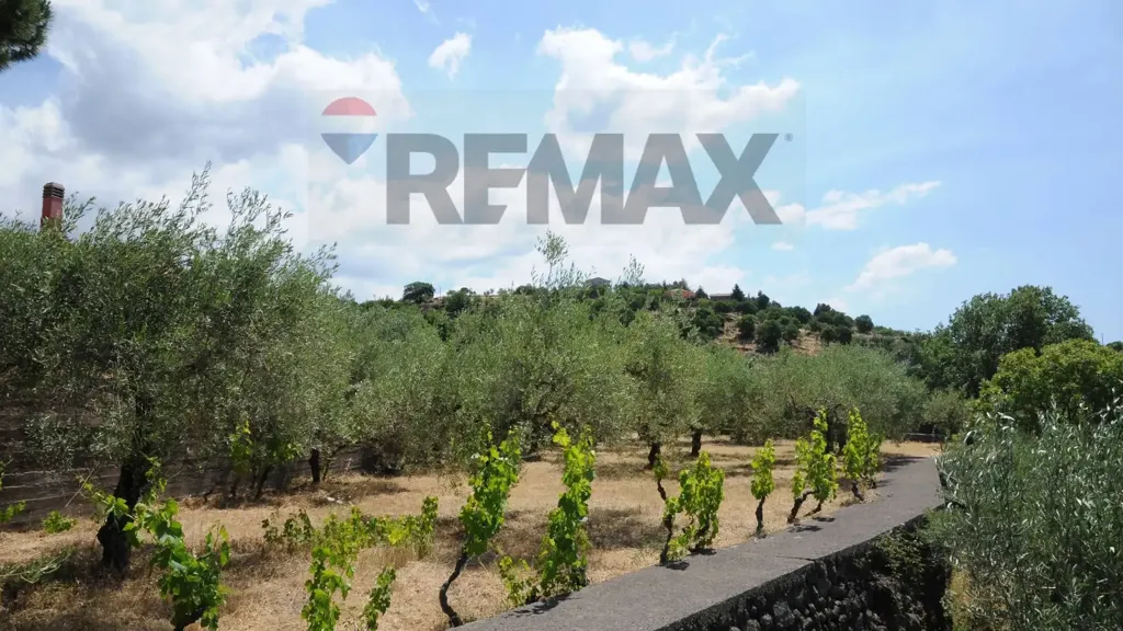 Jardin - Villa with Panoramic Pool in Biancavilla