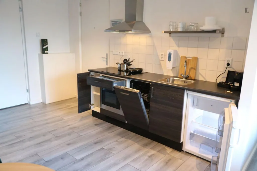 Köök - Studio with Private Bathroom in Sloten
