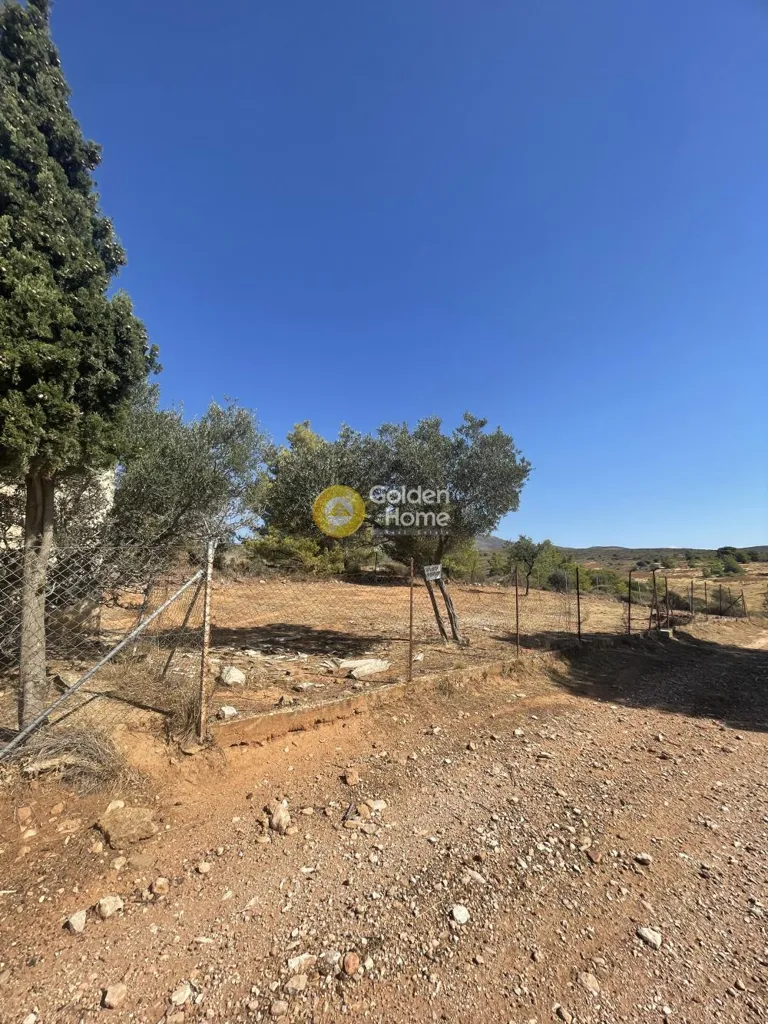 Jardin - Terrain agricole avec vue montagne dans le centre de Pikermi