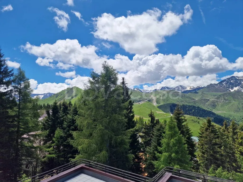 Terrass - Studio Apartment with View in Frabosa Sottana
