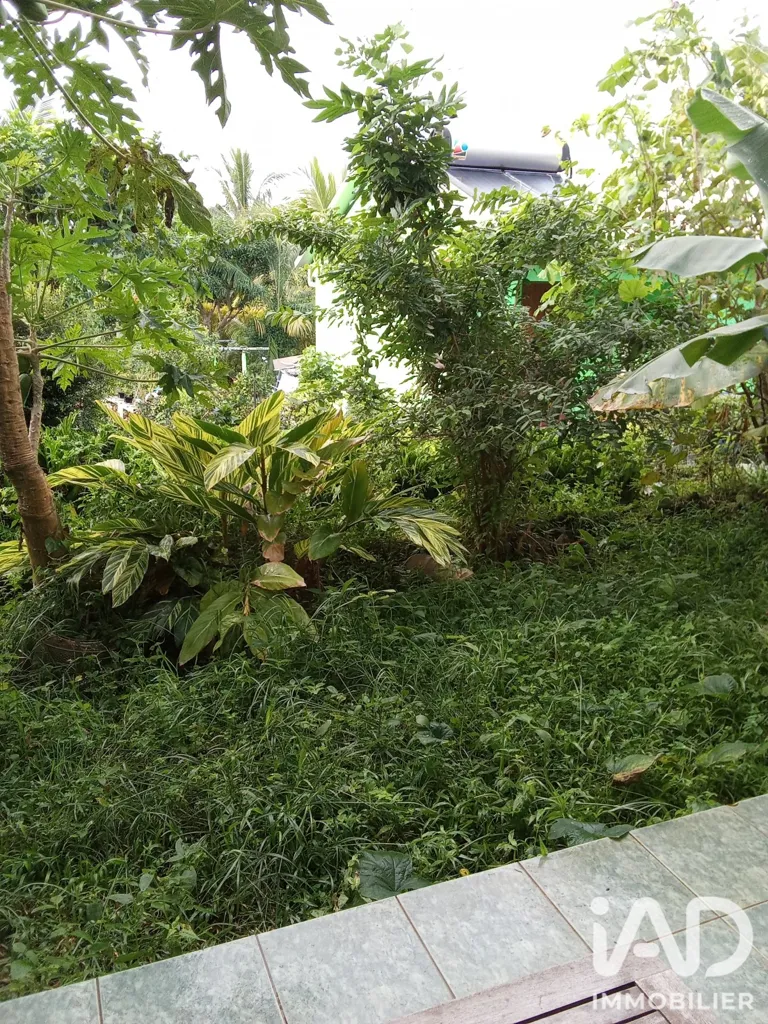 Giardino - Duplex Property with Garden in Saint-Philippe