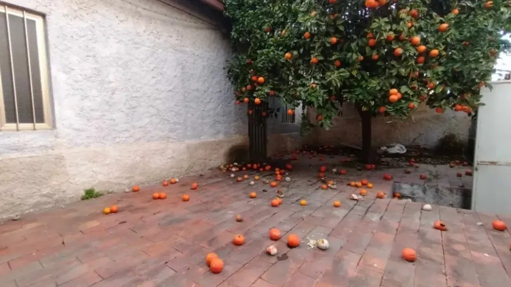 courtyard