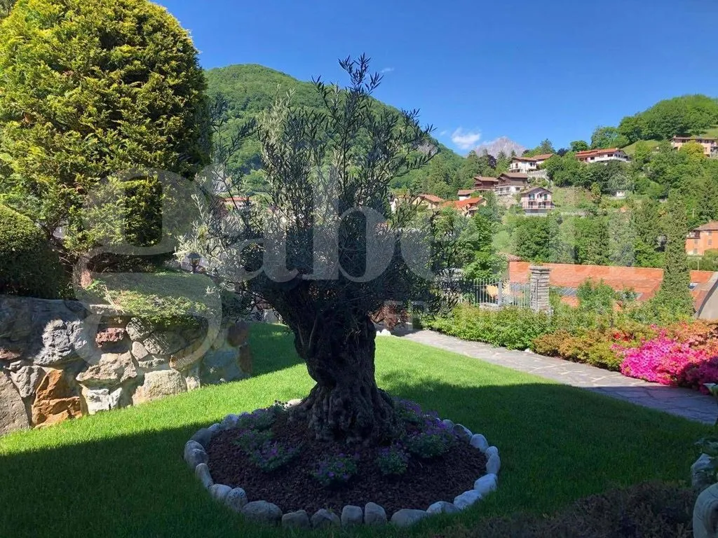 Giardino - Panoramic Villa with Garden in Asso (CO)