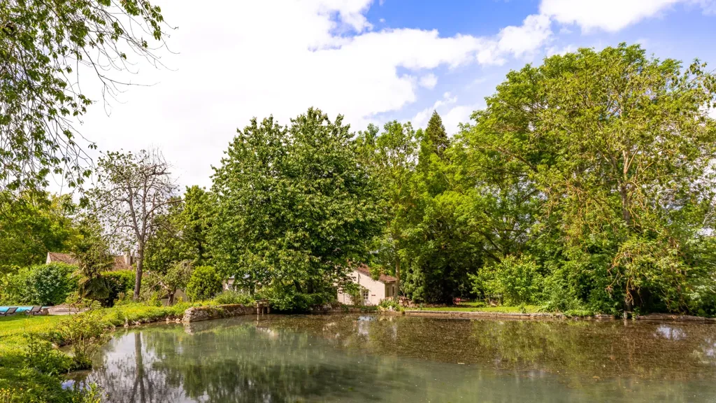 Garden - Renaissance Mill with Equestrian Facilities near Paris