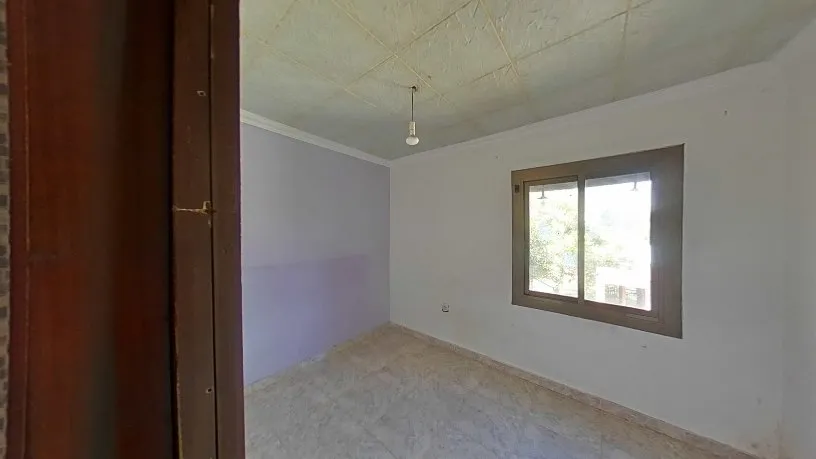 Toad - Functional Flat with Tour in Barcelona