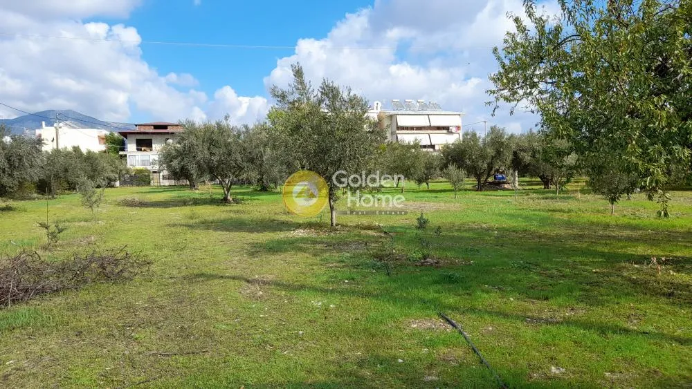Jardin - Modern Villa with Garden in Menidi, Athens