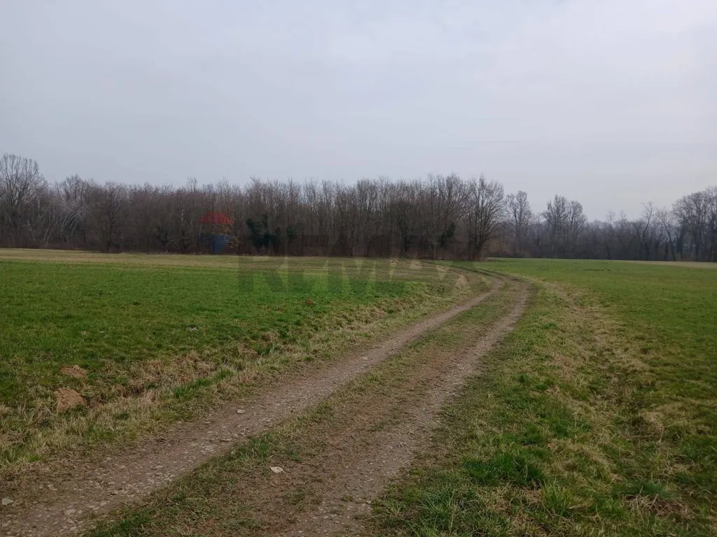 Jardín - Agricultural Land with Forest in Benna/Candelo
