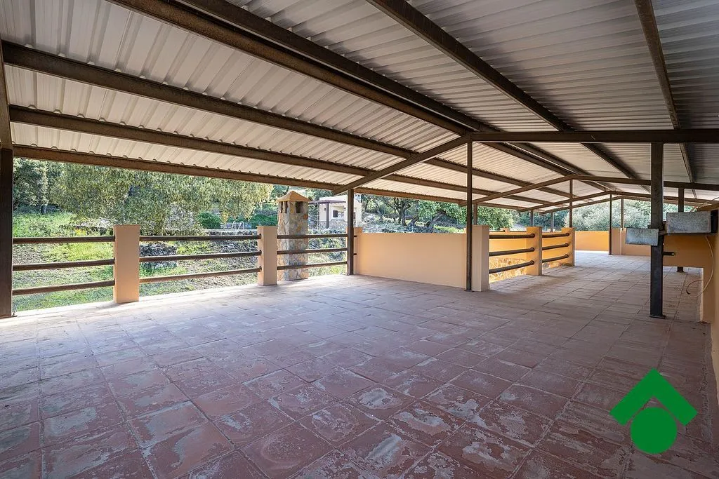 terrace_patio