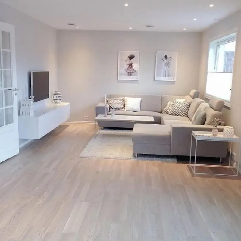 Living Room - 4-room apartment in Grésy-sur-Aix
