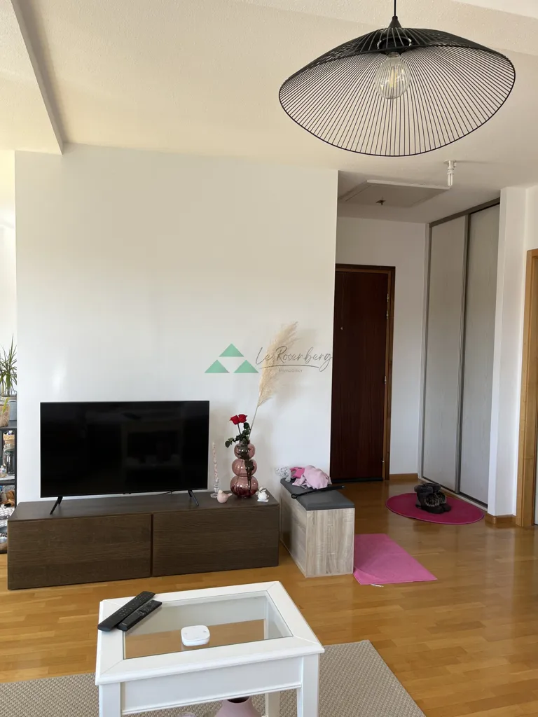Séjour - Appartement F4 avec Terrasse à Jettingen