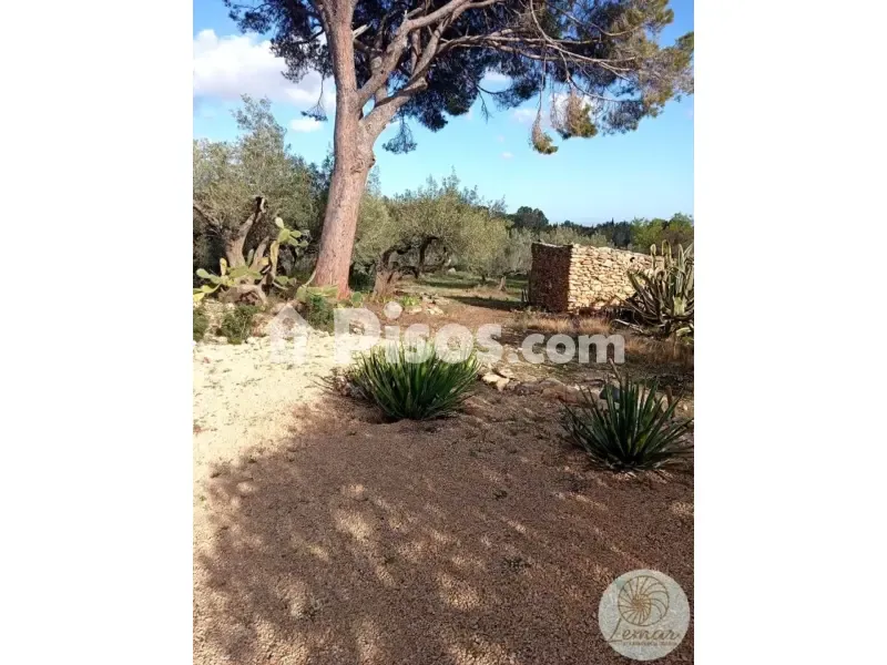 Giardino - Rustic Finca with Solar Panels in Camarles
