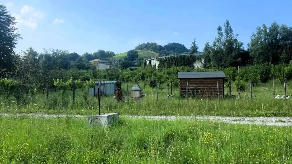 Jardín - Rustic Borgo with Restored Buildings near Casina