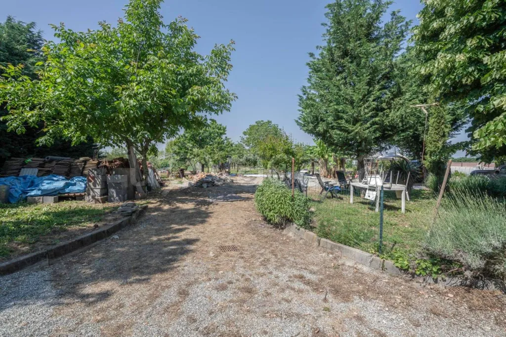 Jardin - Villa with Pools and Garden in Mazzè