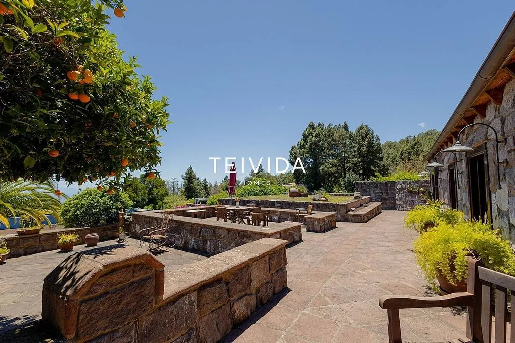 Terrace - Villa with Pool and Bodega in El Rosario