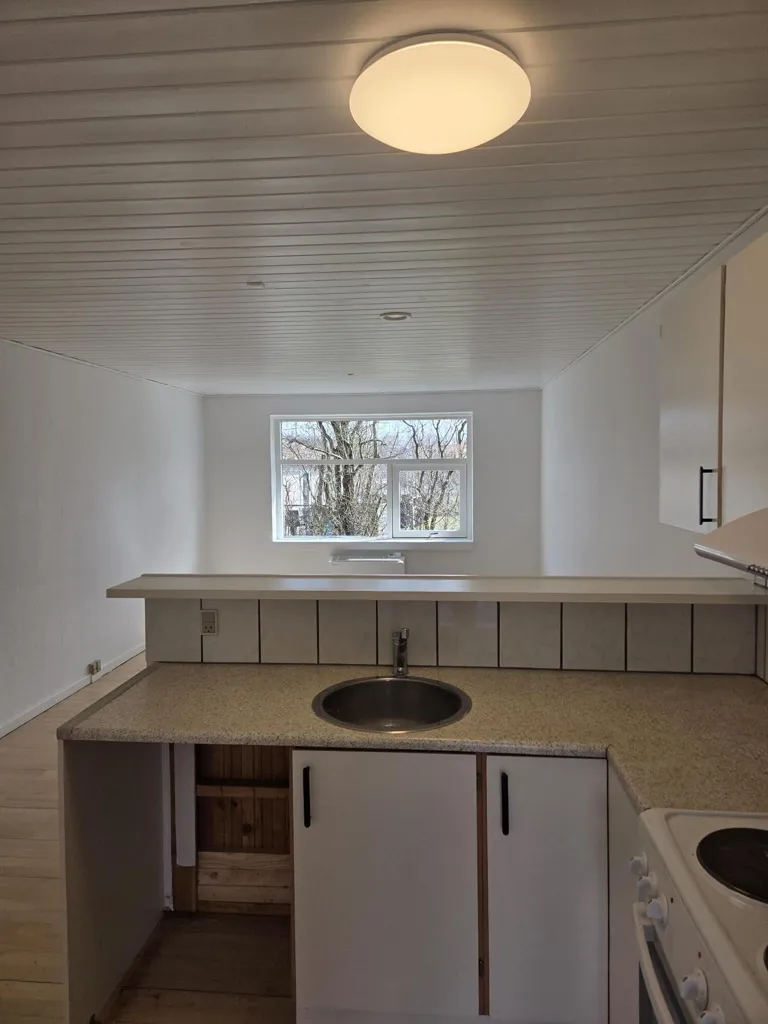 Cuisine - Renovated Studio Flat with Terrace in Ørnhøj