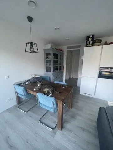 Salle à manger - 3-Bedroom Apartment in Amsterdam