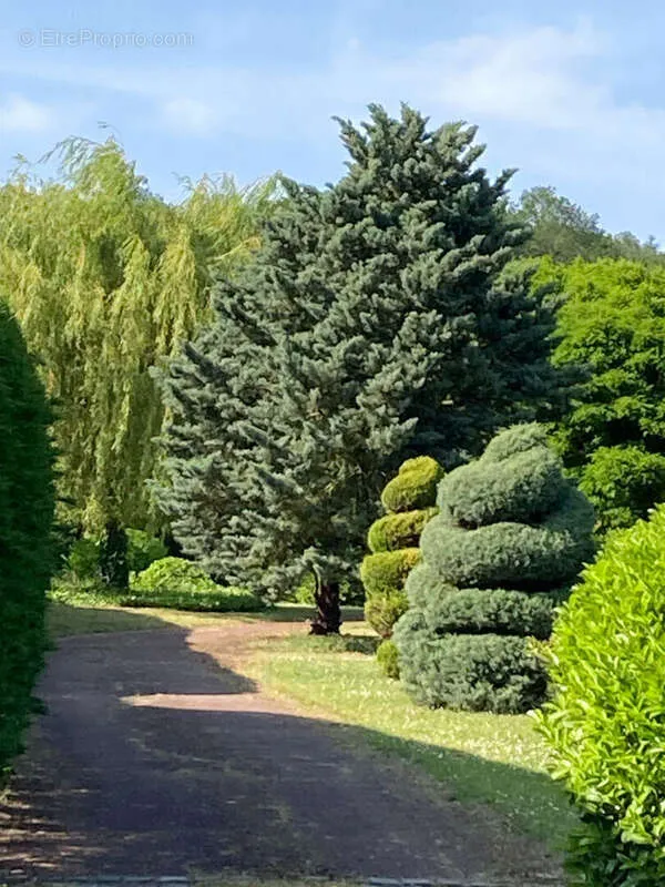 Maa asukohas Herbeville