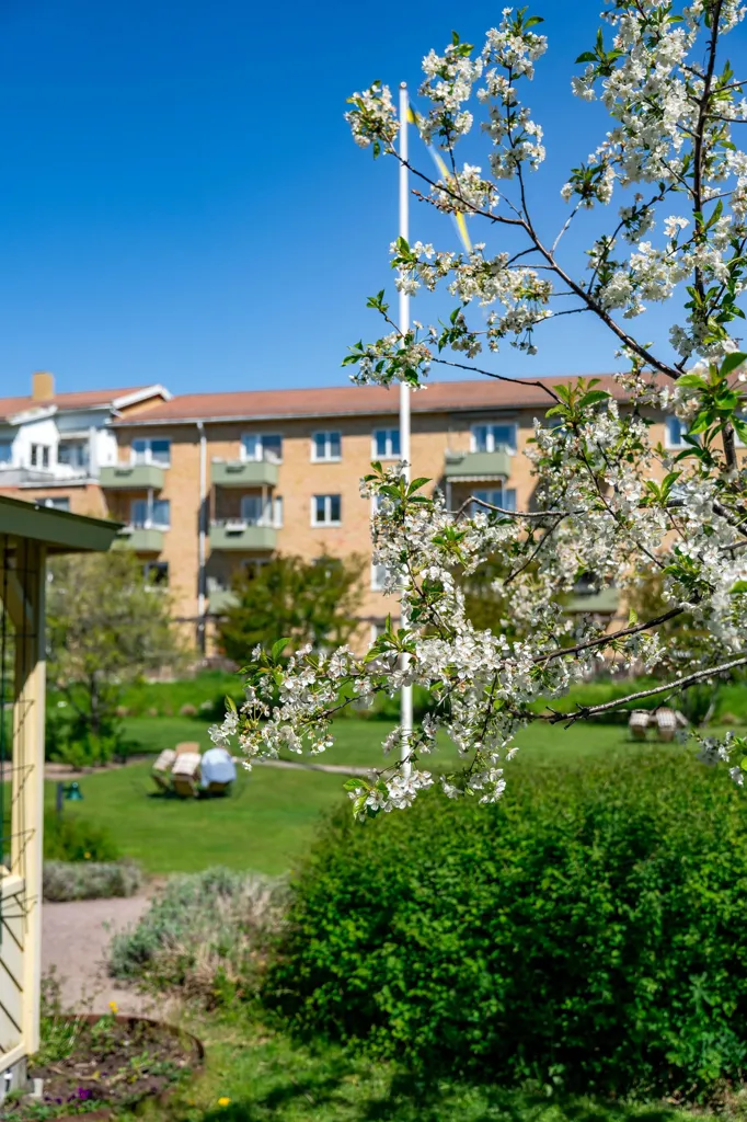 Giardino - Charming Through-Flat with South-West Balcony in Luthagen