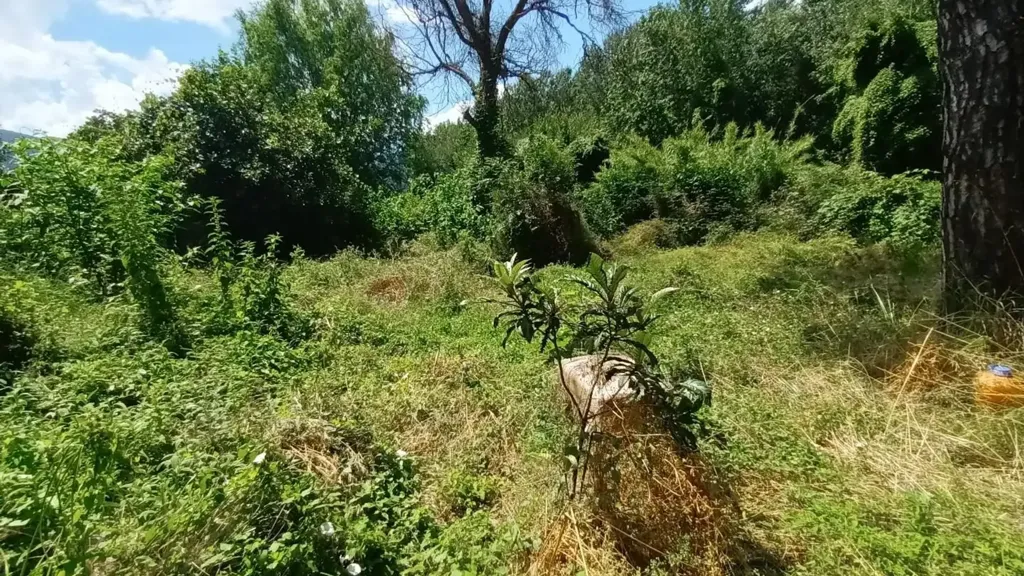 Jardin - Cascina for Renovation with Garden near Lucca