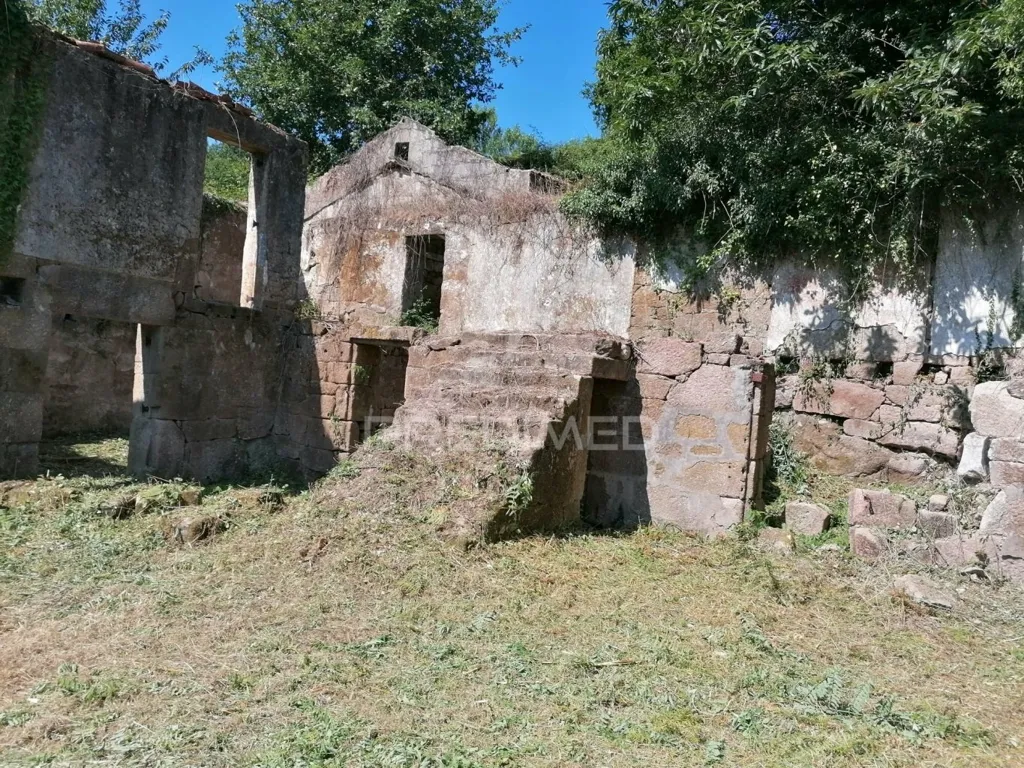 Jardin - Rural Quinta with Olive Trees in Pala