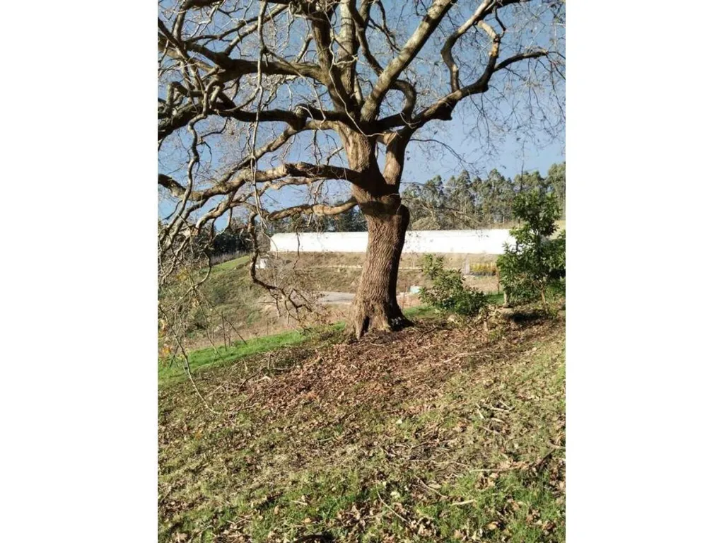 land_plot