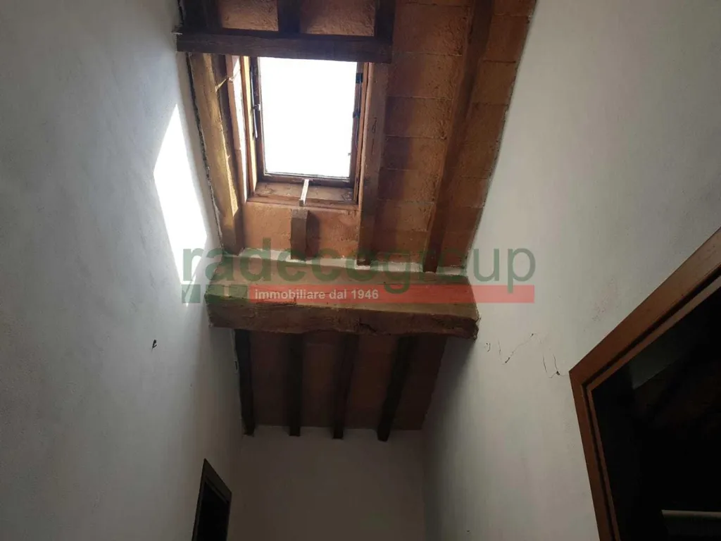 Toad - Tuscan Villa with Garden in Collesalvetti
