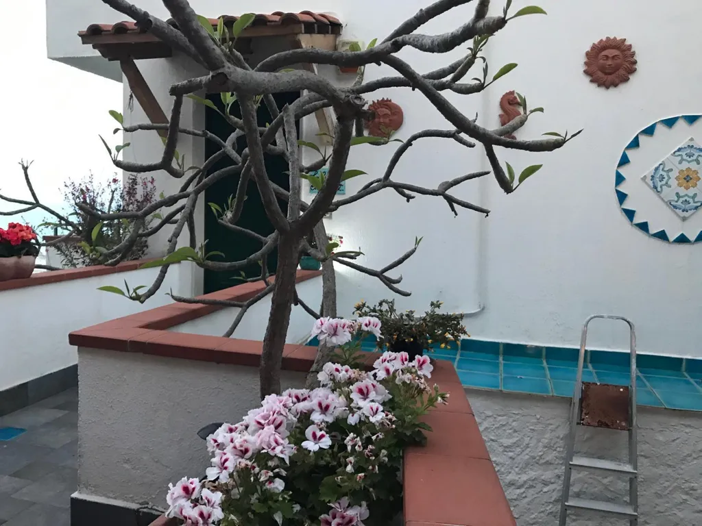 Terrasse - Apartment with Terrace and Balcony in Scalea