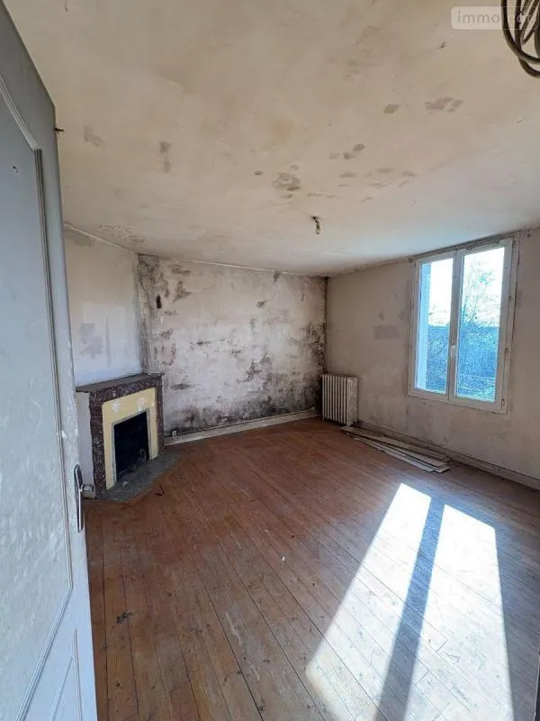 Toad - Rustic House to Renovate in Levroux