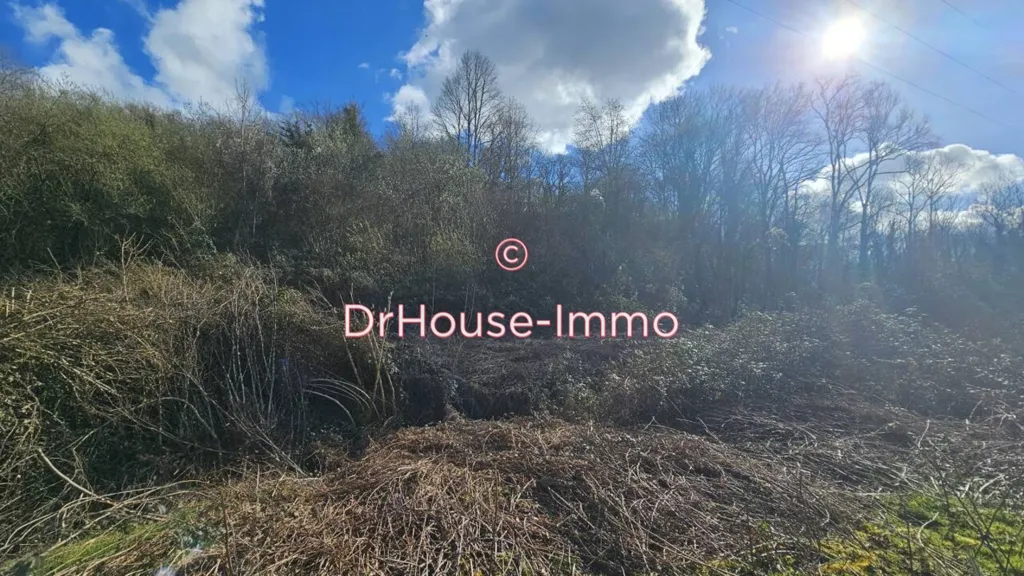 Aed - Non-Constructible Wooded Land in Anoye