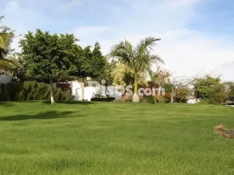 Jardin - Chalet with Traditional Canarian Style in Lanzarote