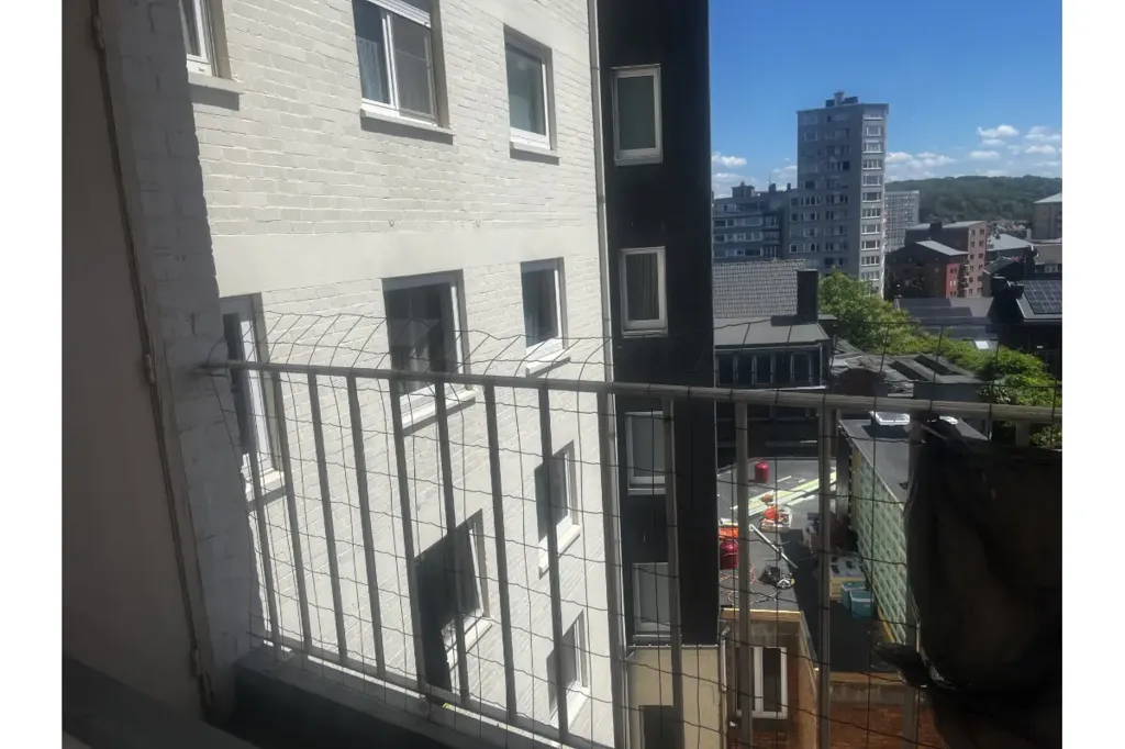 Balcone - Apartment with River View on Quai Marcellis, Liège
